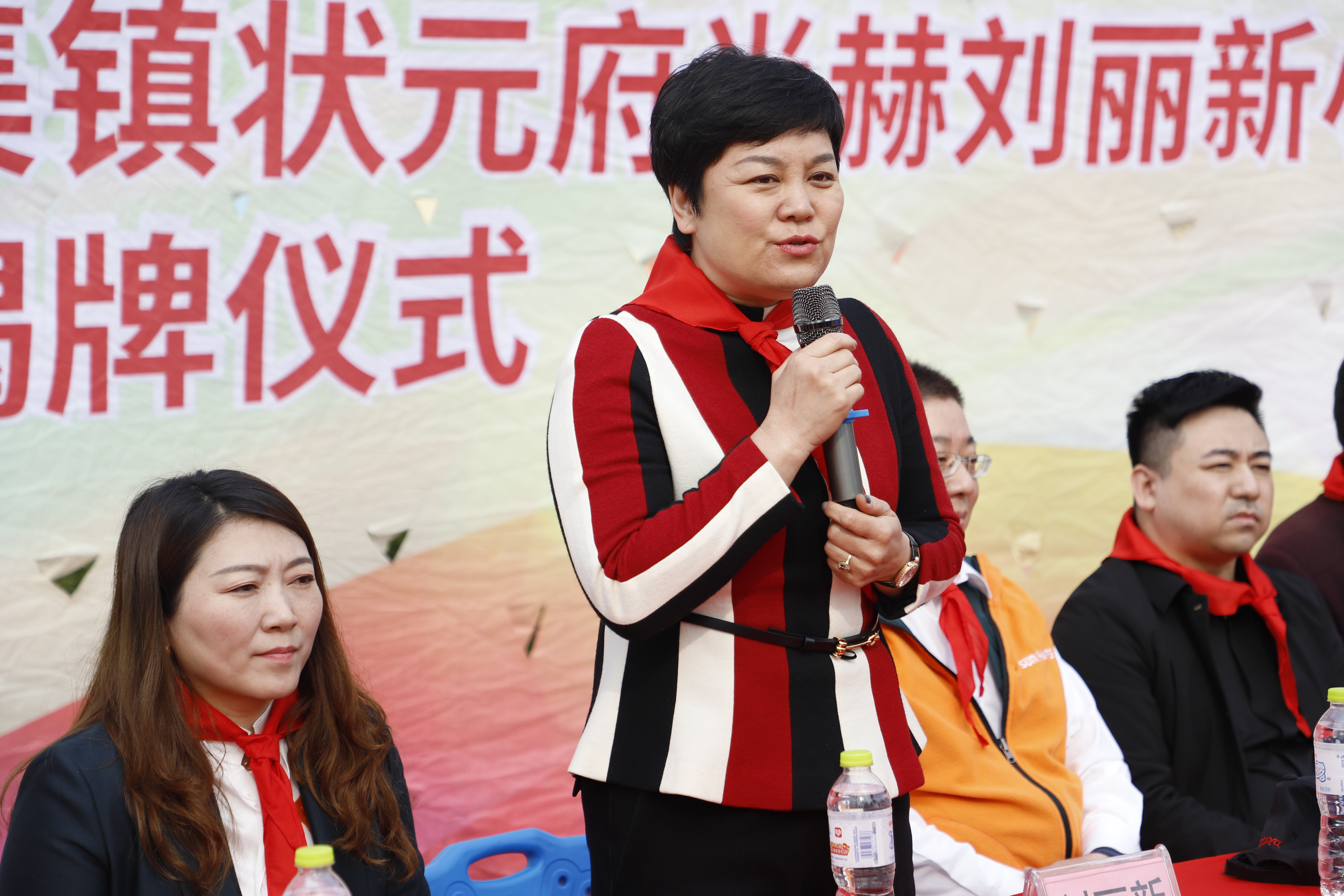 第209所 平度市崔家集镇状元府押球平台刘丽新小学