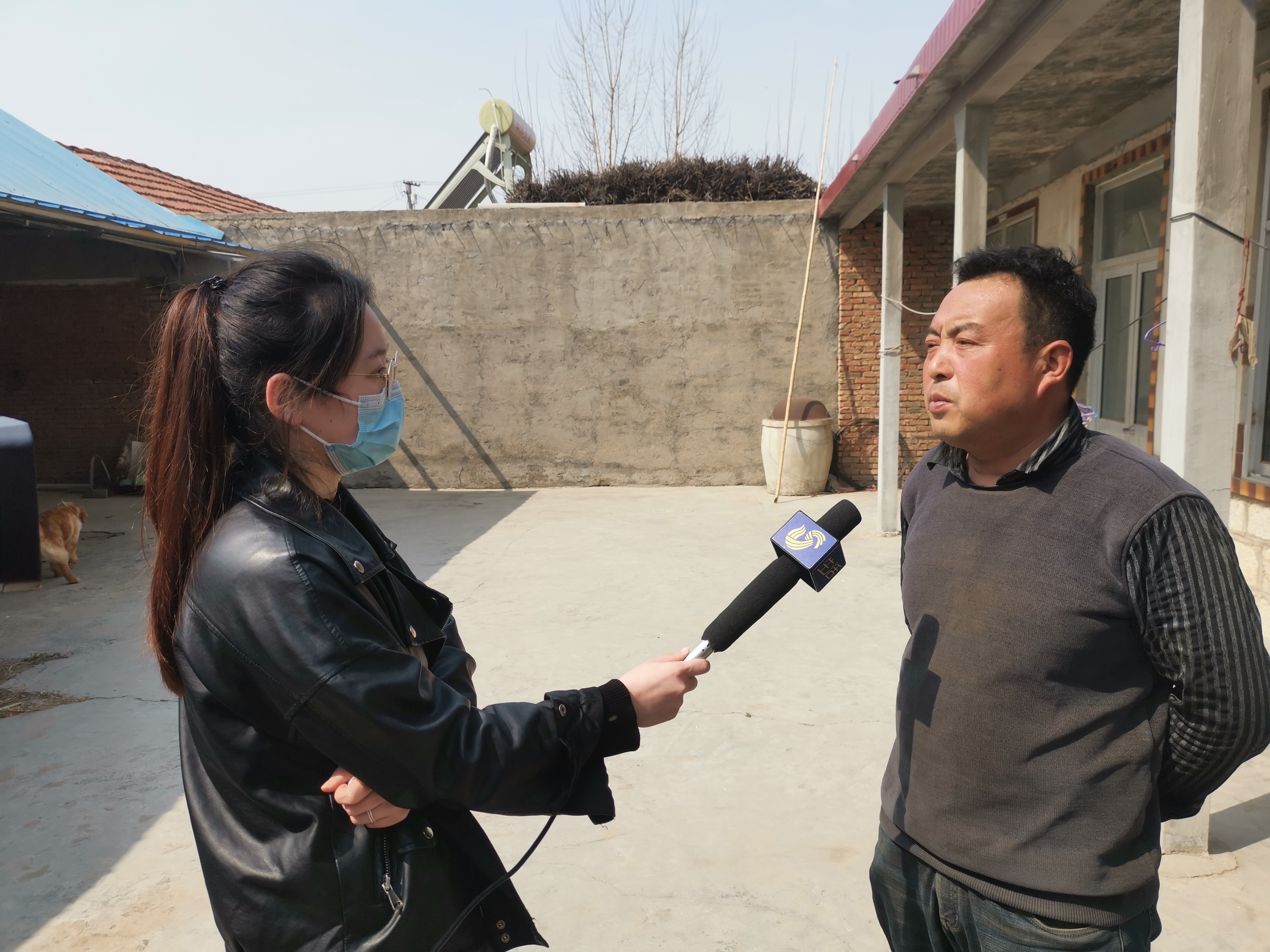 第209所 平度市崔家集镇状元府押球平台刘丽新小学