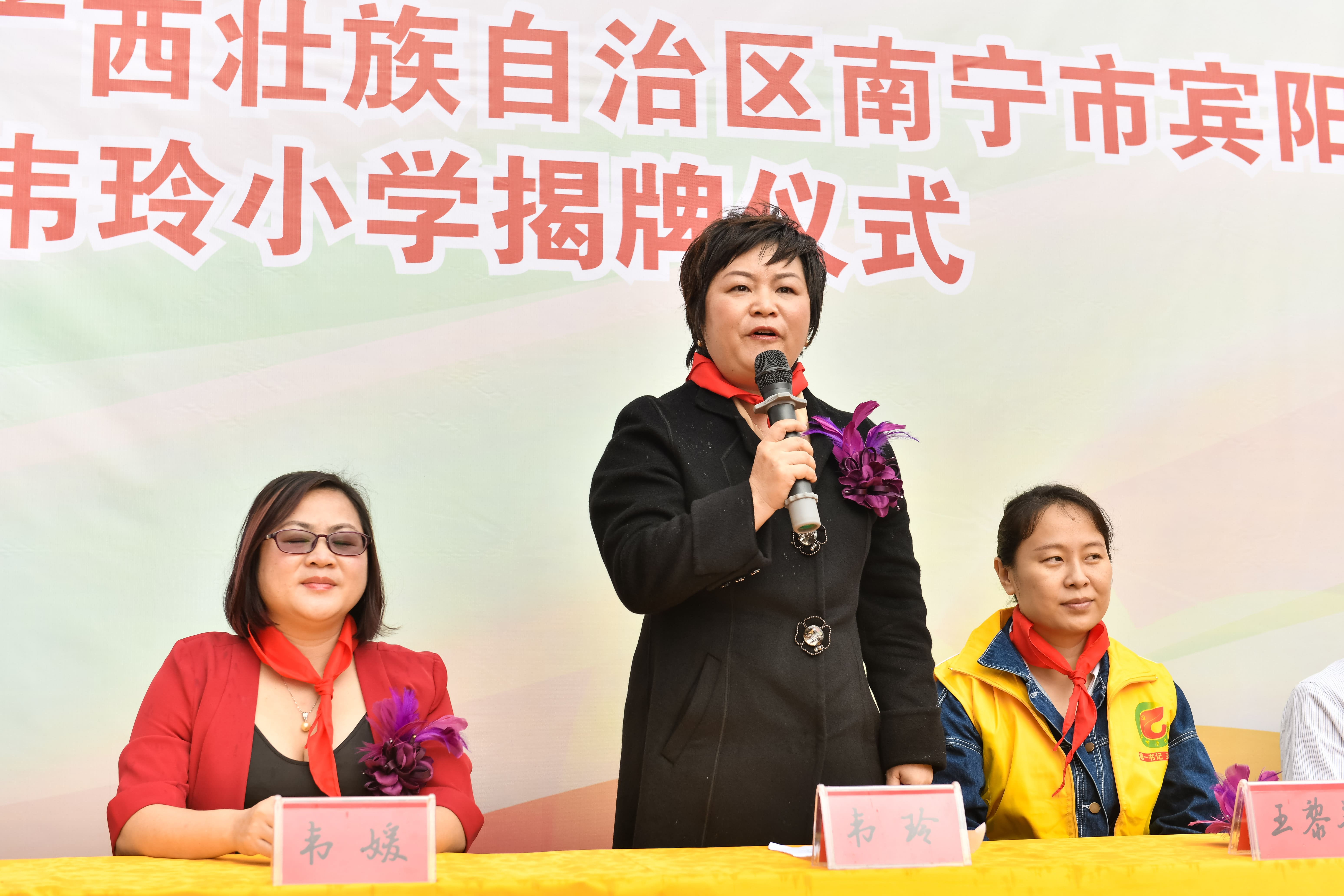 第184所  南宁市宾阳县思陇镇昆仑村押球平台韦玲小学